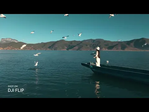 Miniatura del video del producto