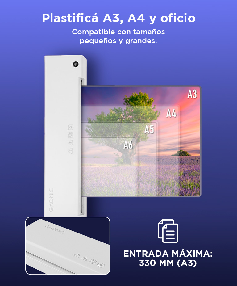 Miniatura