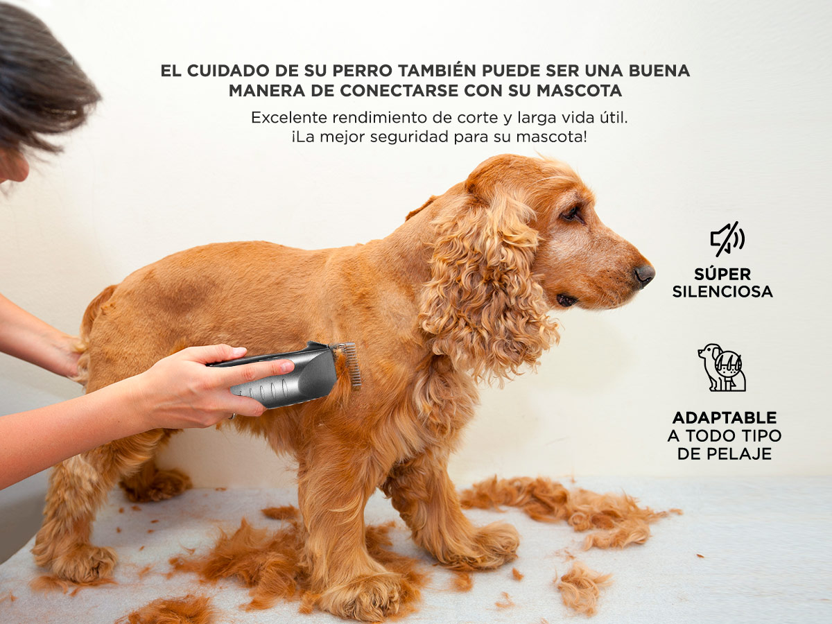 Imagen 4 del producto
