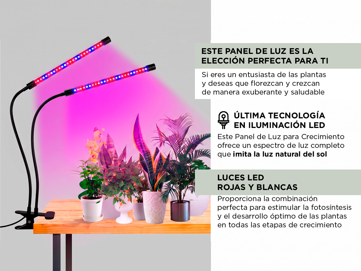 Imagen 3 del producto
